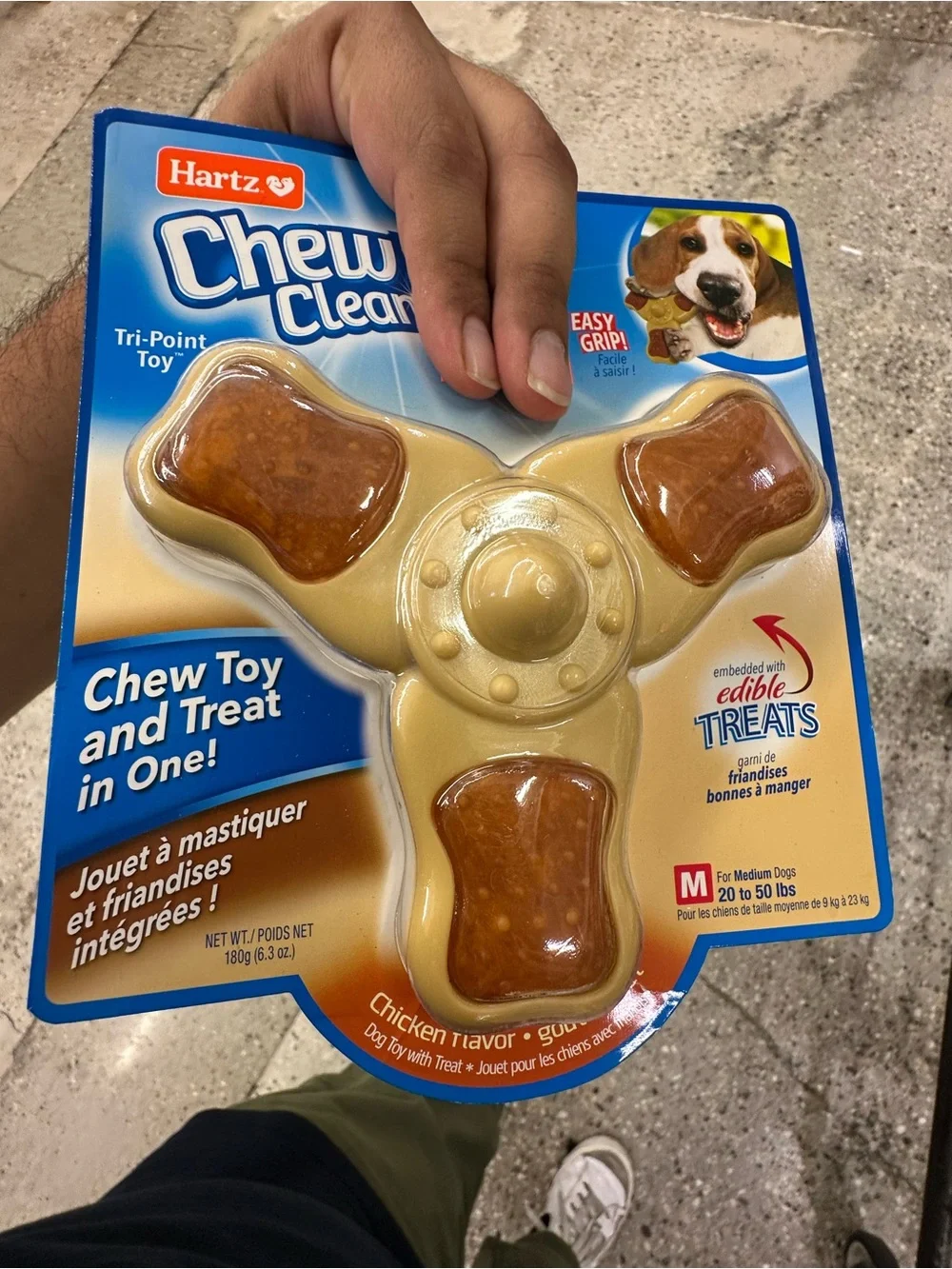 Pet Child Dog